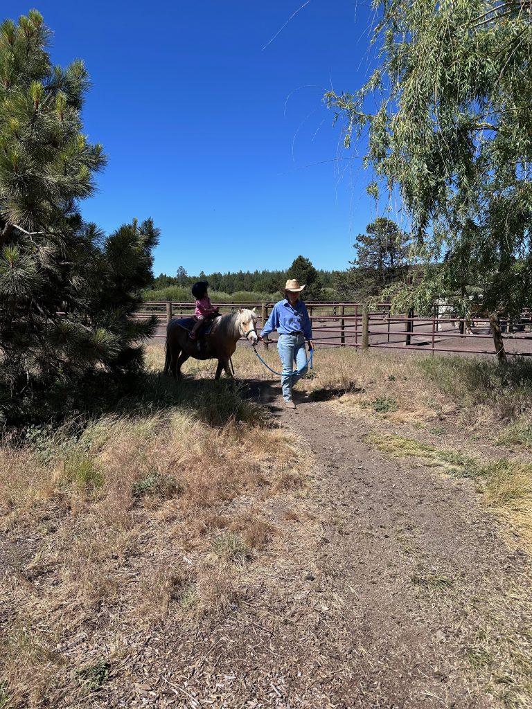 child on guided pony ride