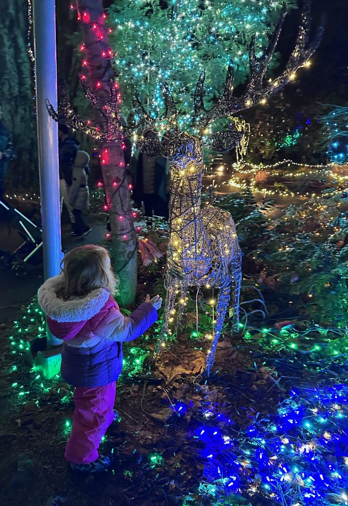 child looking at holiday lights